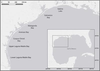 Spatial and Ontogenetic Patterns in the Trophic Ecology of Juvenile Bull Sharks (Carcharhinus leucas) From the Northwest Gulf of Mexico